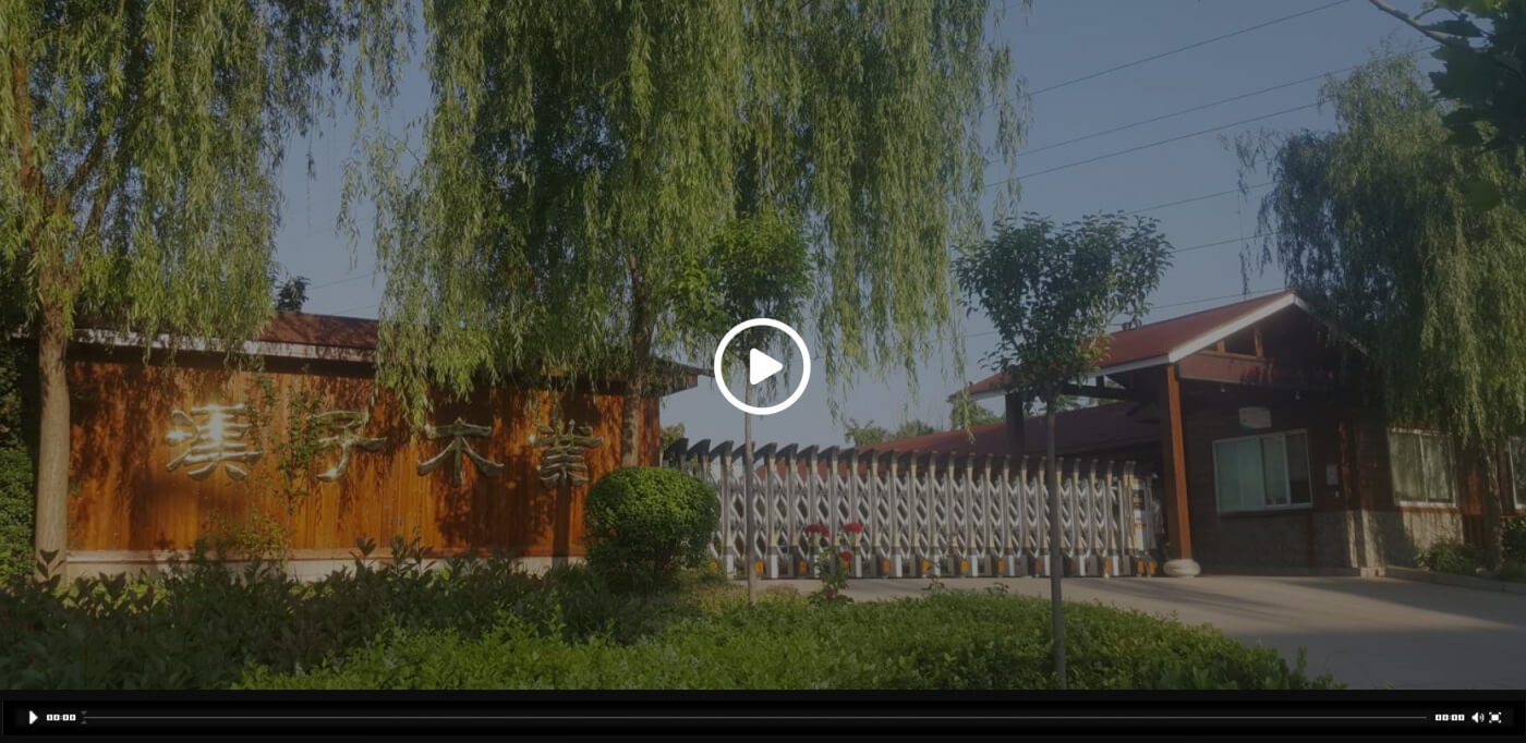 华体育会登录网官网